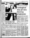Drogheda Argus and Leinster Journal Friday 03 February 1995 Page 45