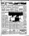 Drogheda Argus and Leinster Journal Friday 07 April 1995 Page 45