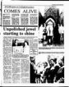 Drogheda Argus and Leinster Journal Friday 28 July 1995 Page 17