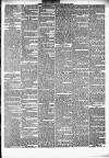 Enniscorthy Guardian Saturday 18 May 1889 Page 3