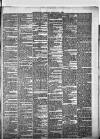 Enniscorthy Guardian Saturday 01 June 1889 Page 3
