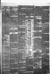 Enniscorthy Guardian Saturday 08 June 1889 Page 3