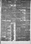 Enniscorthy Guardian Saturday 15 June 1889 Page 3