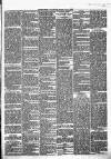 Enniscorthy Guardian Saturday 06 July 1889 Page 3