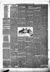 Enniscorthy Guardian Saturday 19 October 1889 Page 6