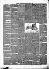 Enniscorthy Guardian Saturday 26 October 1889 Page 6