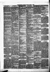 Enniscorthy Guardian Saturday 02 November 1889 Page 4
