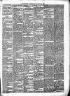 Enniscorthy Guardian Saturday 11 January 1890 Page 3