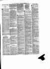 Enniscorthy Guardian Saturday 20 December 1890 Page 7