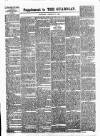 Enniscorthy Guardian Saturday 17 January 1891 Page 5