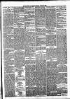 Enniscorthy Guardian Saturday 31 January 1891 Page 3