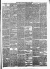 Enniscorthy Guardian Saturday 07 November 1891 Page 3