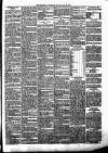 Enniscorthy Guardian Saturday 29 April 1893 Page 3