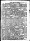 Enniscorthy Guardian Saturday 16 February 1895 Page 3