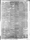 Enniscorthy Guardian Saturday 06 April 1895 Page 3