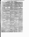 Enniscorthy Guardian Saturday 11 May 1895 Page 7