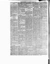 Enniscorthy Guardian Saturday 11 May 1895 Page 8