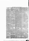 Enniscorthy Guardian Saturday 18 May 1895 Page 8