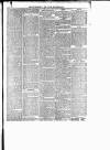 Enniscorthy Guardian Saturday 15 June 1895 Page 7