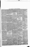 Enniscorthy Guardian Saturday 11 January 1896 Page 7
