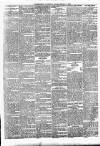 Enniscorthy Guardian Saturday 15 February 1896 Page 3