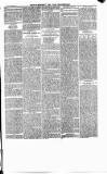Enniscorthy Guardian Saturday 21 November 1896 Page 7