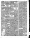 Enniscorthy Guardian Saturday 29 January 1898 Page 9