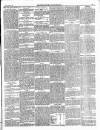 Enniscorthy Guardian Saturday 12 March 1898 Page 5