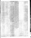 Enniscorthy Guardian Saturday 12 March 1898 Page 7