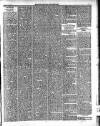 Enniscorthy Guardian Saturday 16 April 1898 Page 7