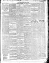 Enniscorthy Guardian Saturday 07 January 1899 Page 5