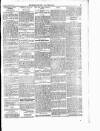 Enniscorthy Guardian Saturday 13 January 1900 Page 7
