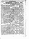 Enniscorthy Guardian Saturday 03 February 1900 Page 7