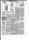 Enniscorthy Guardian Saturday 10 February 1900 Page 3