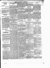 Enniscorthy Guardian Saturday 10 February 1900 Page 5