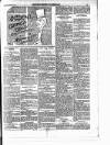 Enniscorthy Guardian Saturday 24 February 1900 Page 3