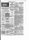 Enniscorthy Guardian Saturday 10 March 1900 Page 3