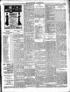 Enniscorthy Guardian Saturday 07 July 1900 Page 3