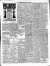 Enniscorthy Guardian Saturday 21 July 1900 Page 3