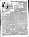 Enniscorthy Guardian Saturday 28 July 1900 Page 3