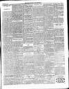 Enniscorthy Guardian Saturday 28 July 1900 Page 7