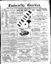 Enniscorthy Guardian Saturday 04 August 1900 Page 1