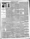 Enniscorthy Guardian Saturday 06 October 1900 Page 3
