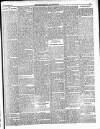 Enniscorthy Guardian Saturday 13 October 1900 Page 7
