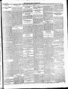 Enniscorthy Guardian Saturday 27 October 1900 Page 7