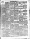 Enniscorthy Guardian Saturday 22 December 1900 Page 7