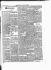 Enniscorthy Guardian Saturday 22 December 1900 Page 11