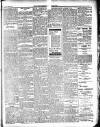 Enniscorthy Guardian Saturday 05 January 1901 Page 3