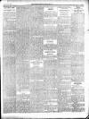 Enniscorthy Guardian Saturday 19 January 1901 Page 5