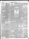 Enniscorthy Guardian Saturday 19 January 1901 Page 7